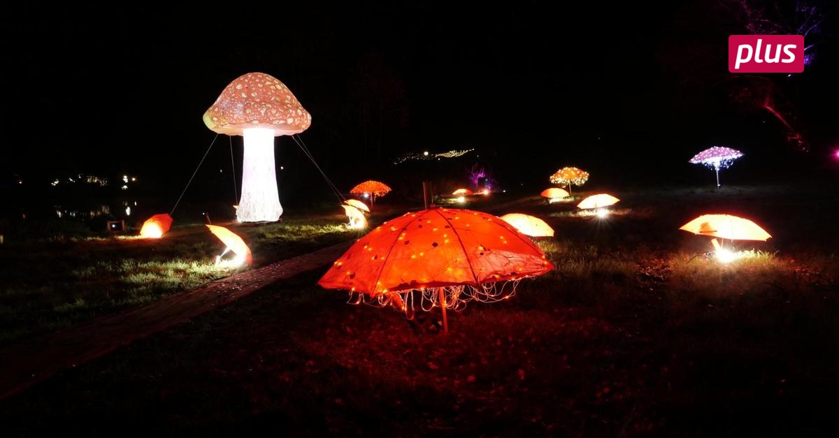 „Christmas Lights“ erleuchten Bad König